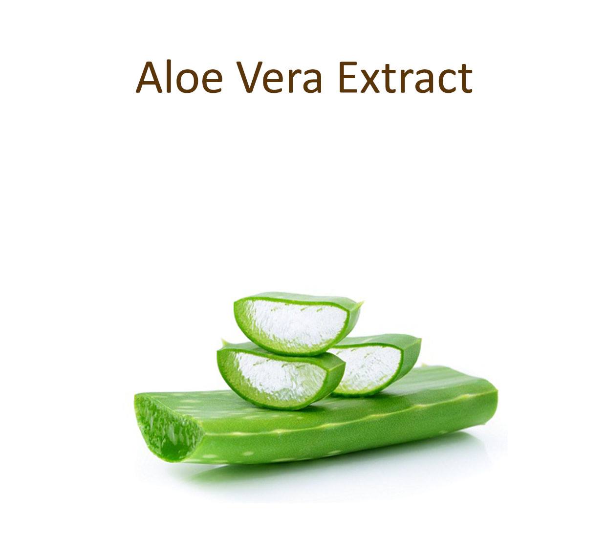 Aloe Vera Extract 500g